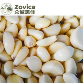 Garlic clove
