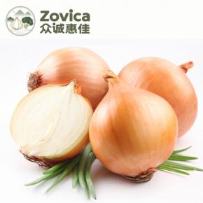 Yellow onion