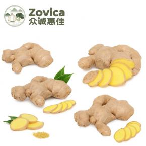 Fresh Ginger