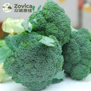 Fresh Broccoli