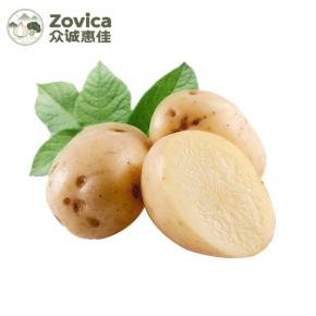 Fresh Potato