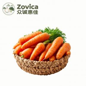 Fresh Carrot