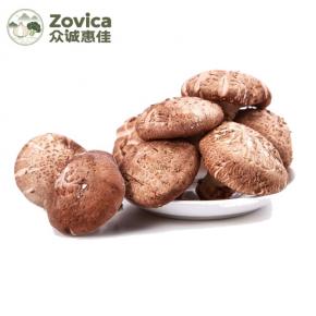 Fresh Shiitake Mushroom