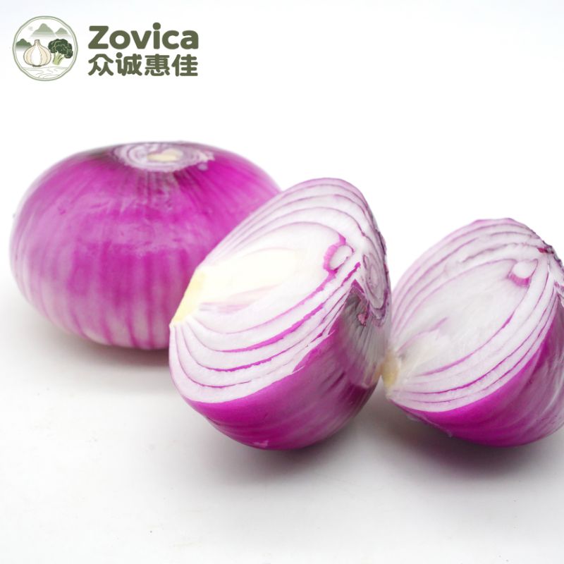 Onion
