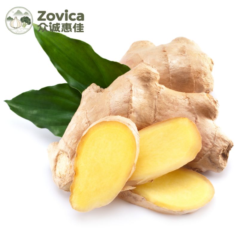 Fresh  Ginger
