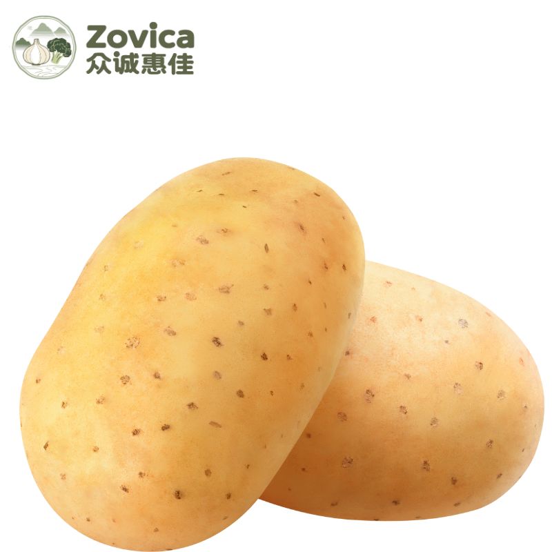 Potato
